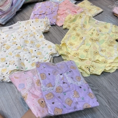 B519-Bộ pijama gấu cổ ren 2 túi (10.18kg)