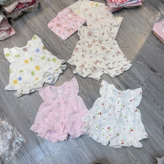 B520-Bộ cánh tiên đũi hàn 2 túi (07.14kg)