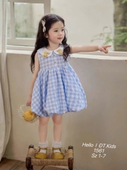 V410-Váy caro vịt thêu dáng bí (09.22kg)