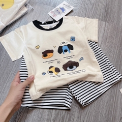 T636-Bộ cotton viền cún quần kẻ (10.18kg)