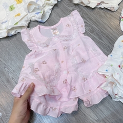 B520-Bộ cánh tiên đũi hàn 2 túi (07.14kg)