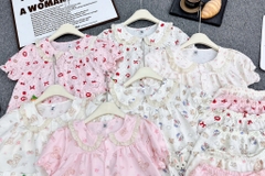 G810-Bộ pijama bèo cà rốt Đại (25.40kg)