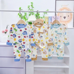 B432-Bộ dài tăm lạnh túi thật (05.15.518)