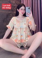 N051-Pijama 40-60kg Đùi Lụa Thái