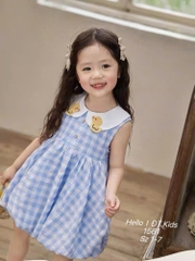V410-Váy caro vịt thêu dáng bí (09.22kg)