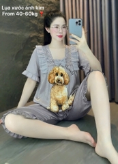 N046-Pijama Freesize CL Lụa Xước Cổ Ren