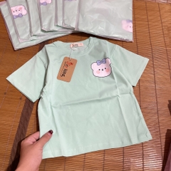 A423-Áo cộc cotton gấu kem ngọc (11.24kg)