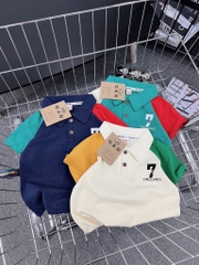 A078-Áo polo phối màu số 7
