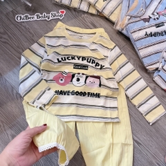G962-Set giấy kẻ Lucky quần gió (16.23kg)