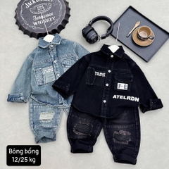 T307-Set jean sơ mi túi hộp màu bụi