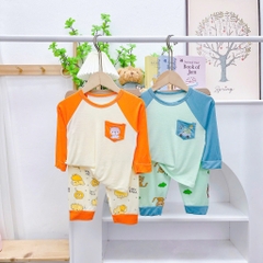 B429-Bộ dài thun lạnh in túi (05.15.280)