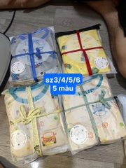 B593-Bộ dài thun lạnh rơi bé trai (08.15kg)