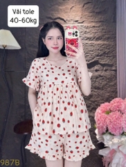 N055-Pijama 40-60kg Đùi Tole Lanh