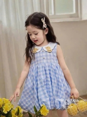 V410-Váy caro vịt thêu dáng bí (09.22kg)