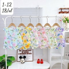 B530-Bộ lanh bé gái cánh tiên S1/12 (05.12kg)