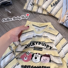 G962-Set giấy kẻ Lucky quần gió (16.23kg)