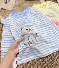 A448-Áo giấy kẻ mèo Kitty (10.22kg)