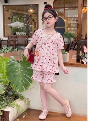 G810-Bộ pijama bèo cà rốt Đại (25.40kg)