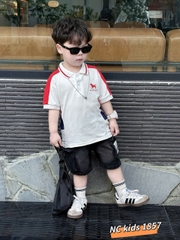 T556-Set áo polo cún phối q jean hộp (09.26kg)