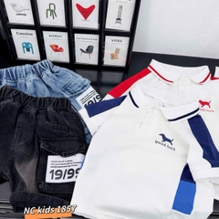 T556-Set áo polo cún phối q jean hộp (09.26kg)