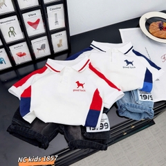 T556-Set áo polo cún phối q jean hộp (09.26kg)