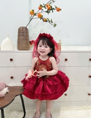 V342-Váy thiết kế cổ tàu thổ cẩm bí (07.17kg)