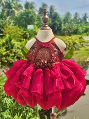 V342-Váy thiết kế cổ tàu thổ cẩm bí (07.17kg)