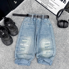 Q294-Quần baggy xanh rách gối (17.26kg)