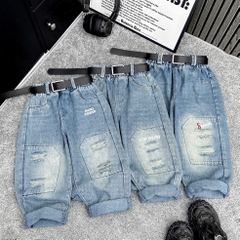 Q294-Quần baggy xanh rách gối (17.26kg)