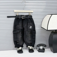 Q295-Quần baggy túi rách Company (15.35kg)