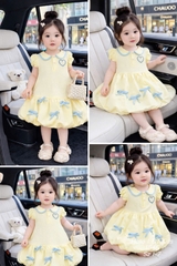 V378-Váy đũi tim vàng dáng bí (08.18kg)