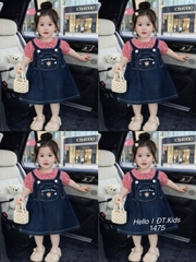 V379-Set áo caro đỏ váy yếm jean (10.20kg)