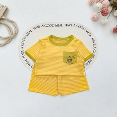 B491-Bộ cộc thun lạnh kẻ màu túi (05.15kg)