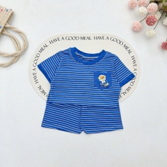 B491-Bộ cộc thun lạnh kẻ màu túi (05.15kg)