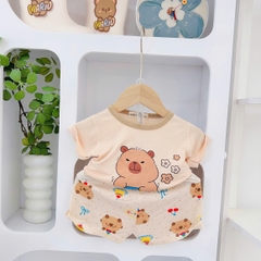 B493-Bộ cộc thun lạnh thú quần kẻ (05.15kg)