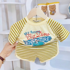 B494-Bộ cộc thun lạnh phối kẻ (08.15kg)