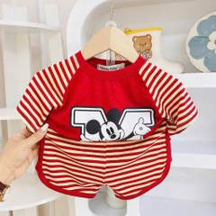 B494-Bộ cộc thun lạnh phối kẻ (08.15kg)