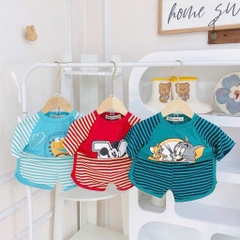 B494-Bộ cộc thun lạnh phối kẻ (08.15kg)