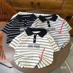 A386-Áo polo QC TXR kẻ NY (10.20kg)