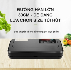 Máy hút chân không P290
