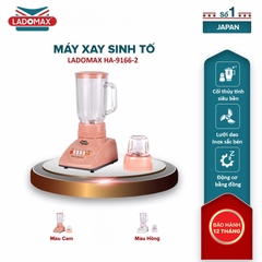 MÁY SINH TỐ ĐA NĂNG LADOMAX HA-9166-2