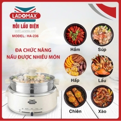 Nồi lẩu điện lòng inox rời Ladomax HA-236 - dung tích 4.0 Lít