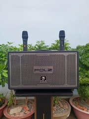 Loa Kéo Di Động Loa Xách Tay POLZ P08