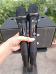 Loa Kéo Di Động Loa Xách Tay POLZ P08