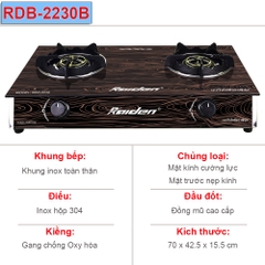 Bếp gas kính đôi Raiden RDB-2230B