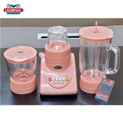 MÁY XAY SINH TỐ ĐA NĂNG- HA-9166-3