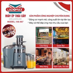 Máy ép trái cây công nghiệp Ladomax HA-967
