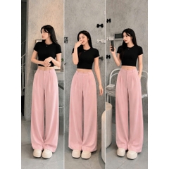 [Q111] Quần nữ ỐNG SUÔNG thun 2 da DÂY KÉO lưng thun sau mềm mịn co giãn dễ phối đồ - L2M (New)