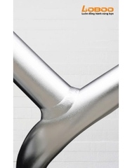 Khung chống đổ dưới Loboo của xe BMW R 1250 GS màu bạc