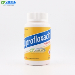 Ciprofloxacin 500mg - Chai 100 viên nén - Domesco(Ciprofloxacin 500mg)